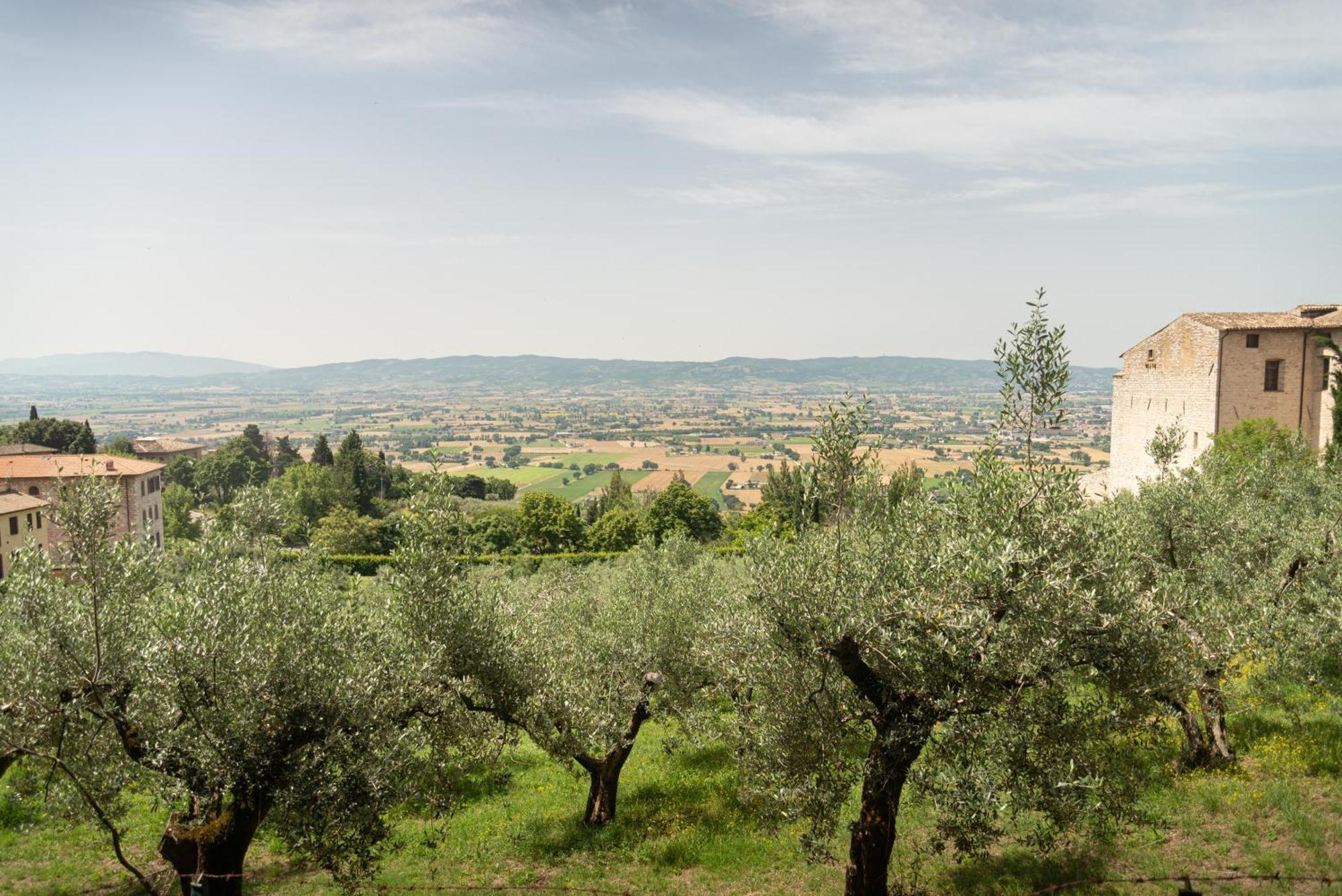 B&B Il Chiostro Assisi Eksteriør billede